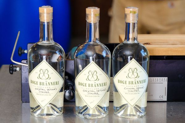 Distilling Detour